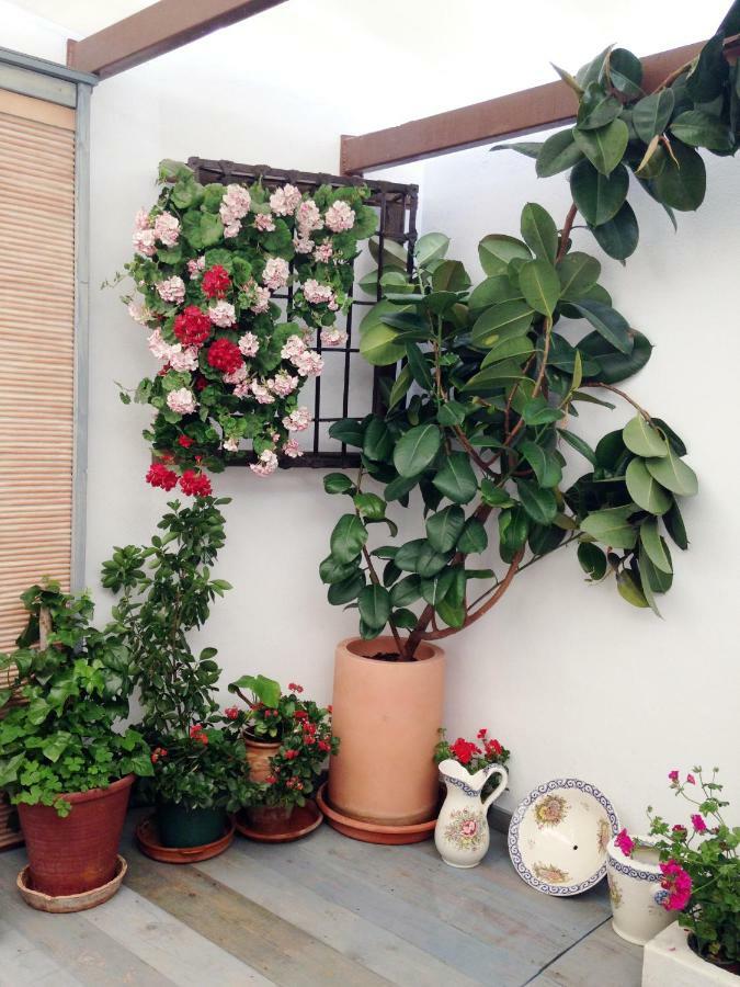 Patio San Lorenzo Córdoba Buitenkant foto