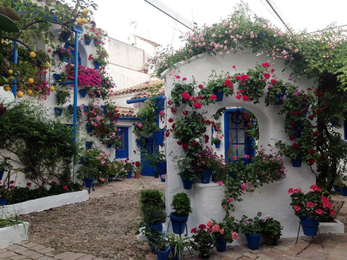 Patio San Lorenzo Córdoba Buitenkant foto